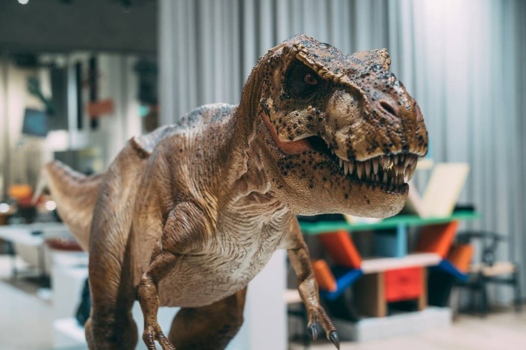 Dinozorlar geri mi dönüyor? Jurassic Park filmi gerçek mi oluyor 16